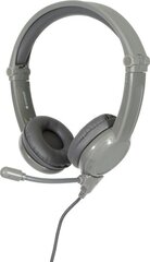 BuddyPhones BP-GALAXY Grey hinta ja tiedot | BuddyPhones Tietokoneet ja pelaaminen | hobbyhall.fi