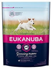 EUKANUBA Puppy kuivaruokaa pennuille enintään 12 kk, kananlihalla, 3 kg hinta ja tiedot | Eukanuba Lemmikit | hobbyhall.fi