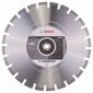 Bosch Standard for Asphalt 400 x 25,4mm hinta ja tiedot | Käsityökalut | hobbyhall.fi