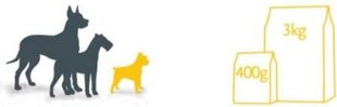 Fitmin Fitmin Mini Light - 3 kg hinta ja tiedot | Koiran kuivaruoka | hobbyhall.fi