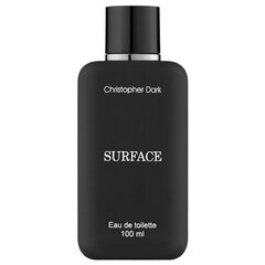 Hajuvesi Christopher Dark Surface EDT miehille 100 ml hinta ja tiedot | Miesten hajuvedet | hobbyhall.fi