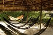 Riippumatto Amazonas Adventure, vihreä/ruskea hinta ja tiedot | Riippumatot | hobbyhall.fi
