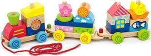 Värikäs juna Viga Toys hinta ja tiedot | Vauvan lelut | hobbyhall.fi