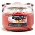 Tuoksukynttilä Candle-lite Everyday Sweet Pear Lily