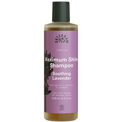 Shampoo normaaleille hiuksille Urtekram Tune In, 250 ml hinta ja tiedot | Shampoot | hobbyhall.fi