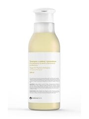 Anti-Hilse shampoo rasvoittuville hiuksille Botanicapharma, 250 ml hinta ja tiedot | Shampoot | hobbyhall.fi