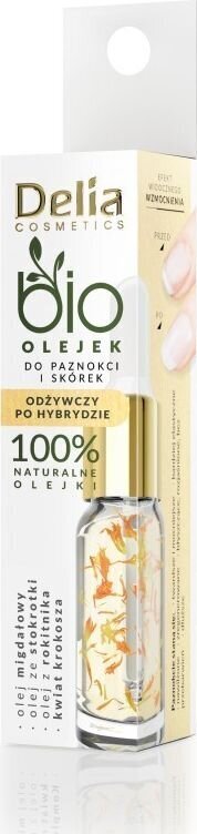 Ravitseva öljy kynsille ja kynsinauhoille After Hybrid Delia Cosmetics Bio Oil, 10ml hinta ja tiedot | Kynsilakat ja kynsienhoitotuotteet | hobbyhall.fi