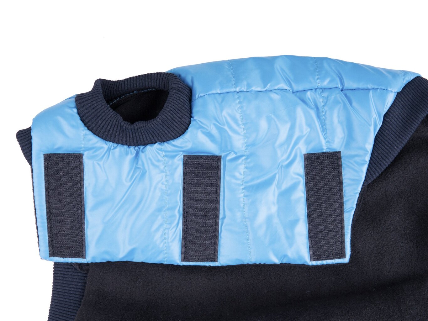 Amiplay Bronx koirantakki, 46 cm, sininen hinta ja tiedot | Koiran vaatteet | hobbyhall.fi