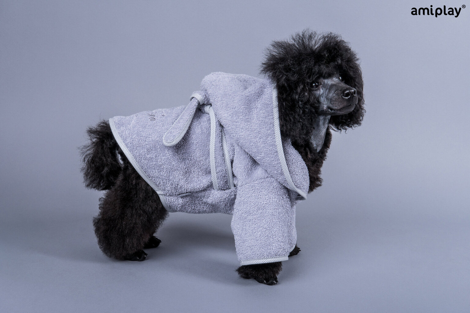 Amiplay SPA Grey, 35 cm Koiran kylpytakki hinta ja tiedot | Eläinten hoitotuotteet | hobbyhall.fi