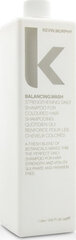 Kevin Murphy Balancing Wash shampoo päivittäiseen käyttöön, 1000 ml hinta ja tiedot | Shampoot | hobbyhall.fi