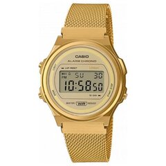 Casio Vintage rannekello hinta ja tiedot | Naisten kellot | hobbyhall.fi