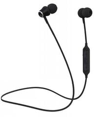 CELLY BLUETOOTH STEREO EARPHONES BLACK hinta ja tiedot | Kuulokkeet | hobbyhall.fi