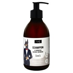 Energisoiva miesten shampoo LaQ LaQ 1in1 Doberman, 300ml hinta ja tiedot | LaQ LaQ Hajuvedet ja kosmetiikka | hobbyhall.fi