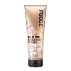 Fudge All Blonde Color Boost Shampoo vaaleille hiuksille, 250ml hinta ja tiedot | Fudge Professional Hajuvedet ja kosmetiikka | hobbyhall.fi