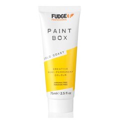 Puolikestävä hiusväri Fudge Paintbox Creative Semi-Permanent Colour Gold Coast, 75ml hinta ja tiedot | Fudge Hajuvedet ja kosmetiikka | hobbyhall.fi