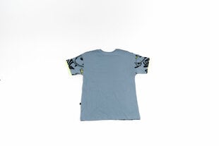 Poikien t-paita: hinta ja tiedot | Poikien paidat | hobbyhall.fi