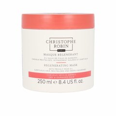 Puhdistava ja palauttava naamio Christophe Robin Revitalizing care (250 ml) hinta ja tiedot | Naamiot, öljyt ja seerumit | hobbyhall.fi