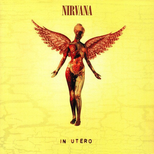 LP NIRVANA In Utero Vinyylilevy hinta ja tiedot | Vinyylilevyt, CD-levyt, DVD-levyt | hobbyhall.fi