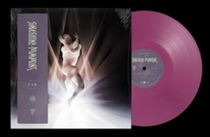 2LP THE SMASHING PUMPKINS CYR (Orchid Vinyl) Vinyylilevy hinta ja tiedot | Vinyylilevyt, CD-levyt, DVD-levyt | hobbyhall.fi