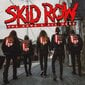 LP SKID ROW The Gang's All Here (Red Vinyl, 180g, Limited Edition) Vinyylilevy hinta ja tiedot | Vinyylilevyt, CD-levyt, DVD-levyt | hobbyhall.fi