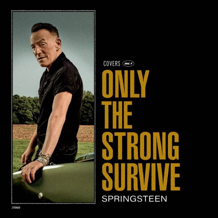 2LP BRUCE SPRINGSTEEN Only The Strong Survive Vinyylilevy hinta ja tiedot | Vinyylilevyt, CD-levyt, DVD-levyt | hobbyhall.fi