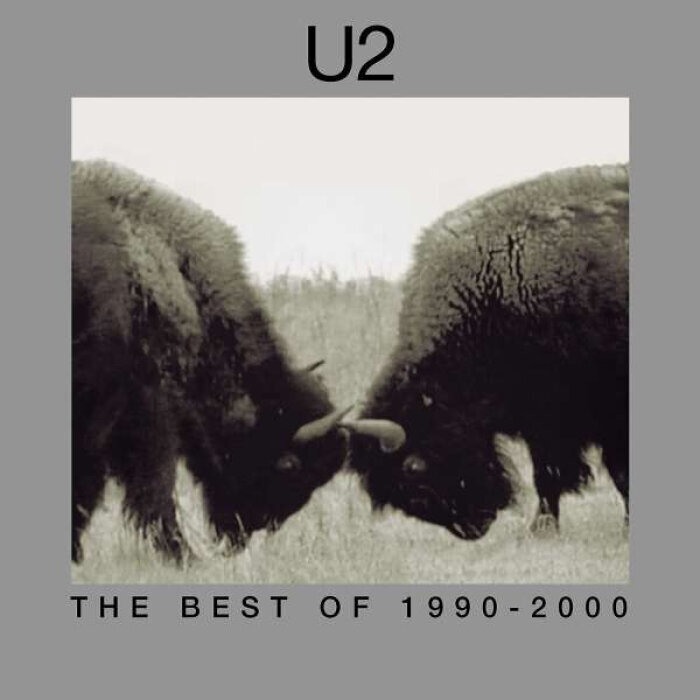 2LP U2 The Best Of 1990 - 2000 (180g, Remastered 2018) Vinyylilevy hinta ja tiedot | Vinyylilevyt, CD-levyt, DVD-levyt | hobbyhall.fi