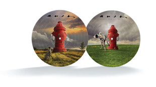 Vinyylilevy LP Rush - Signals, Picture Disc, 40th Anniversary, Limited Edition hinta ja tiedot | Vinyylilevyt, CD-levyt, DVD-levyt | hobbyhall.fi