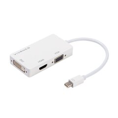 VIVANCO Mini DisplayPort - HDMI / VGA / DVI, 0.15 m hinta ja tiedot | Vivanco Tietokoneiden lisävarusteet | hobbyhall.fi