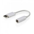 AMBERIN USB C - 3.5 mm