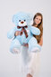 Nalle "I love you" 110 cm Vaaleansininen hinta ja tiedot | Pehmolelut | hobbyhall.fi