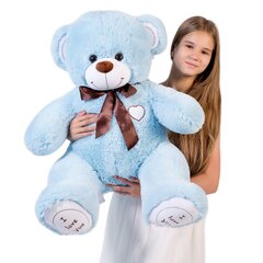 Nalle "I love you" 110 cm Vaaleansininen hinta ja tiedot | Pehmolelut | hobbyhall.fi