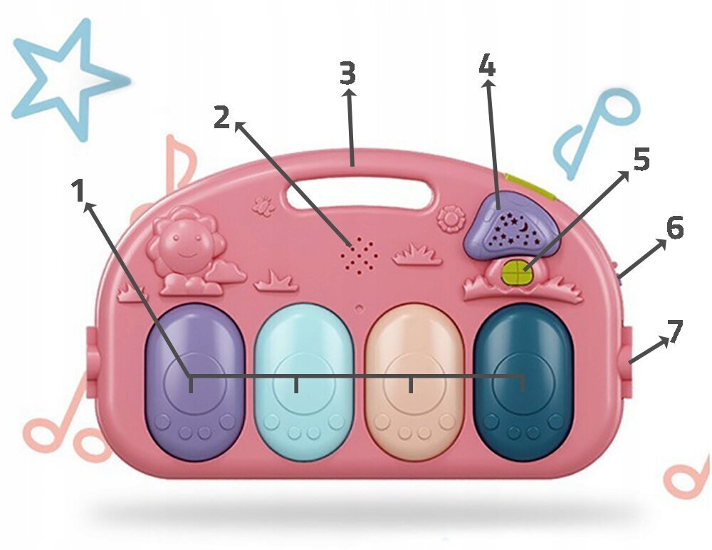 Lasten opetusmatto pianolla ja leluilla 0-36 kk hinta ja tiedot | Leikkimatot | hobbyhall.fi
