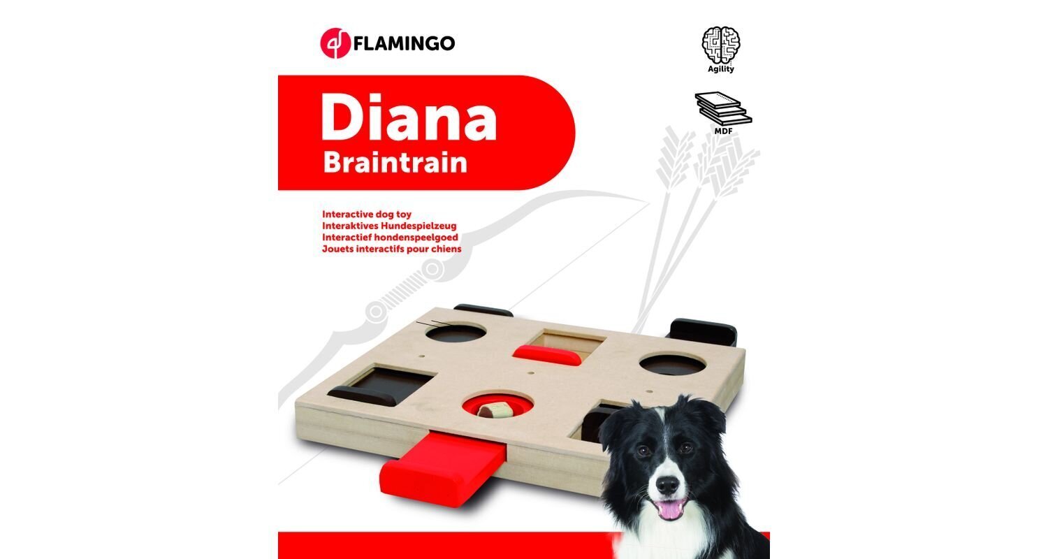 Flamingo interaktiivinen puinen lelu Diana koirille 26x29,5cm hinta ja tiedot | Koiran lelut | hobbyhall.fi