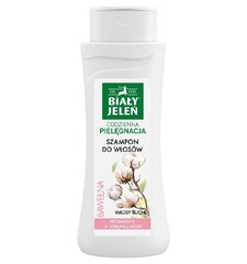 Shampoo kuiville hiuksille Bialy Jelen Bawełna 300 ml hinta ja tiedot | Bialy Jelen Hajuvedet ja kosmetiikka | hobbyhall.fi