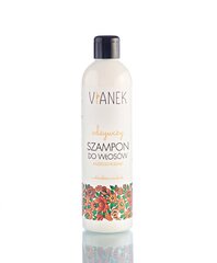 Ravitseva shampoo, jossa on keuhkoyrttiuutetta Vianek 300 ml hinta ja tiedot | Shampoot | hobbyhall.fi