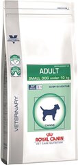 Kuivaruoka pienille koirille Royal Canin Adult, 4 kg hinta ja tiedot | Koiran kuivaruoka | hobbyhall.fi