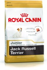 Royal Canin Jack Russell terriereille Junior, 1,5 kg hinta ja tiedot | Koiran kuivaruoka | hobbyhall.fi