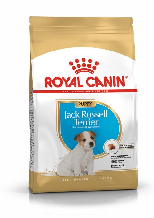 Royal Canin Jack Russell terriereille Junior, 1,5 kg hinta ja tiedot | Koiran kuivaruoka | hobbyhall.fi