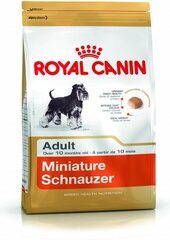 Royal Canin koiranruokaa aikuisille kääpiösnautsereille, 3 kg hinta ja tiedot | Koiran kuivaruoka | hobbyhall.fi