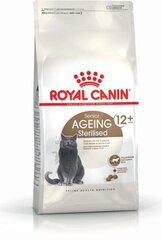 Royal Canin Sterilised ruokaa steriloiduille kissoille 12+, 1,5 kg hinta ja tiedot | Kissan kuivaruoka | hobbyhall.fi