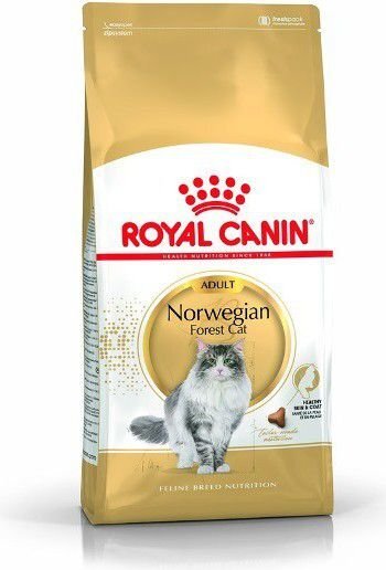 Royal Canin Norvegien norjalaisille metsäkissoille, 10 kg hinta ja tiedot | Kissan kuivaruoka | hobbyhall.fi