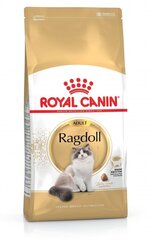 Royal Canin Ragdoll kissoille, 10 kg hinta ja tiedot | Kissan kuivaruoka | hobbyhall.fi
