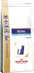 Royal Canin Renal Feline, 4 kg kissoille, joilla on munuaisongelmia. hinta ja tiedot | Kissan kuivaruoka | hobbyhall.fi