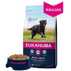 Kuivaruoka koirille Eukanuba Adult15 l = 32 kg hinta ja tiedot | Eukanuba Lemmikit | hobbyhall.fi