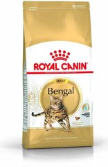 Rotukissojen ruoka Royal Canin Bengal Adult, 0,4 kg hinta ja tiedot | Kissan kuivaruoka | hobbyhall.fi