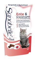 Kuivaruoka kissoille Sanabelle Adult Strutsi (strutsinlihalla) 2kg + 2 x Snack Duck 55g hinta ja tiedot | Sanabelle Lemmikit | hobbyhall.fi