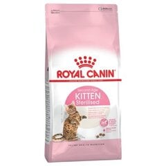 Royal Canin Kitten sterilised kuivaruoka steriloiduille kissanpennuille, 3,5 kg hinta ja tiedot | Kissan kuivaruoka | hobbyhall.fi