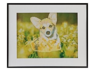 Koristesarja Diamond Painting Dog, 40x50 cm hinta ja tiedot | Timanttimaalaukset | hobbyhall.fi