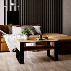 Sohvapöytä Karo B1002, ruskea/musta hinta ja tiedot | Sohvapöydät | hobbyhall.fi