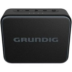 Grundig GLR7746 2500 hinta ja tiedot | Kaiuttimet | hobbyhall.fi